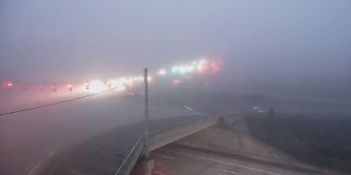 NWS Warns of Dense Fog Across Midlands: Safety Tips for Drivers in South Carolina