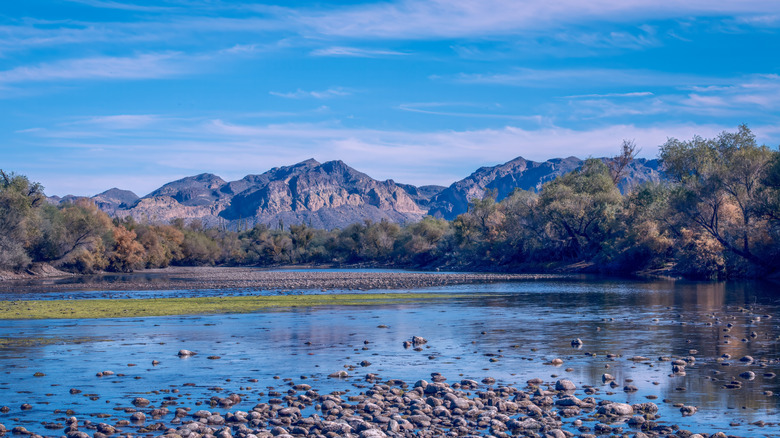 Arizona’s Best-Kept Secret: Pebble Beach’s Idyllic Swimming Paradise