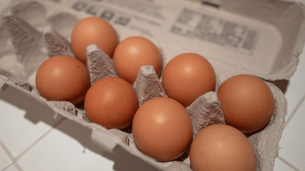 Authorities Scrambling After 100,000 Eggs Stolen in Pennsylvania Heist