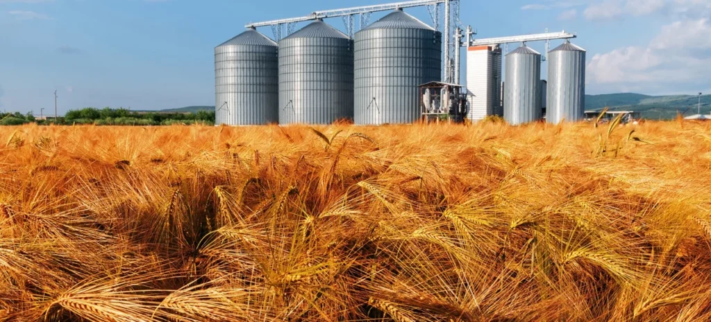 How to Protect Your Hard-Earned Grain in Storage