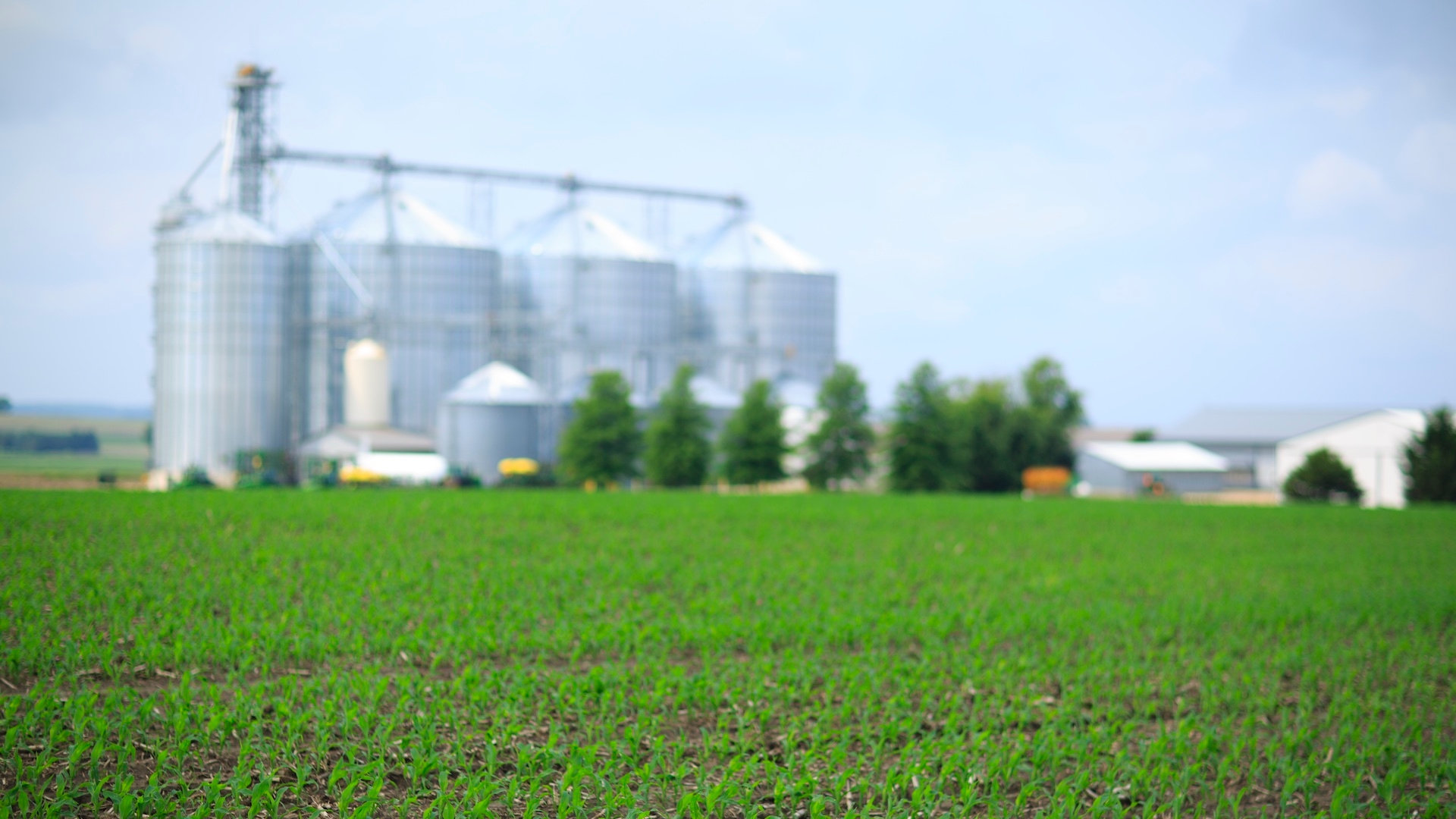 How to Protect Your Hard-Earned Grain in Storage