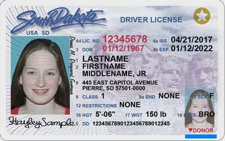 Is Your South Dakota Driver’s License REAL ID-Ready for 2025?