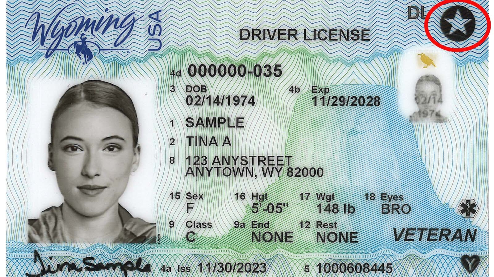 Is Your Wyoming ID Ready for the May 2025 REAL ID Deadline?