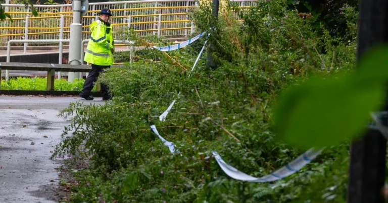Manchester Woods Tragedy: New Details Emerge in Man’s Killing"