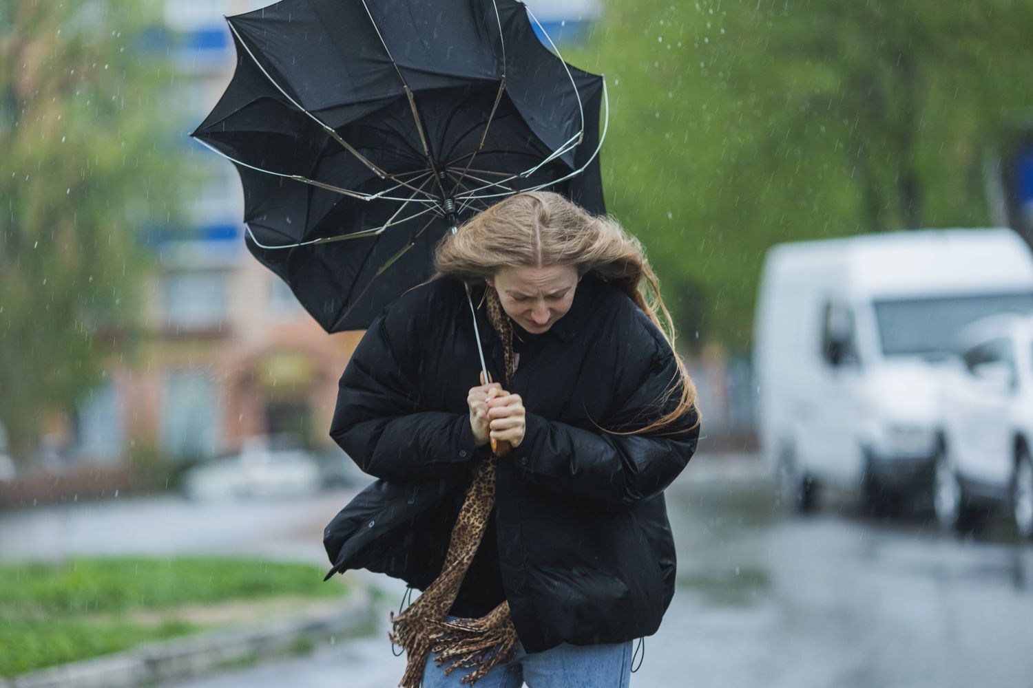 Tennessee Spring Weather Predictions by The Old Farmer’s Almanac