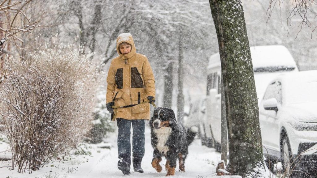  Will Spring in New Jersey Be Cold and Wet or Warm and Dry? Old Farmer’s Almanac Prediction