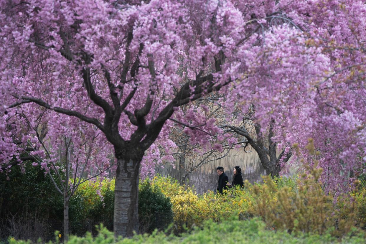 Will Spring in New Jersey Be Cold and Wet or Warm and Dry? Old Farmer’s Almanac Prediction