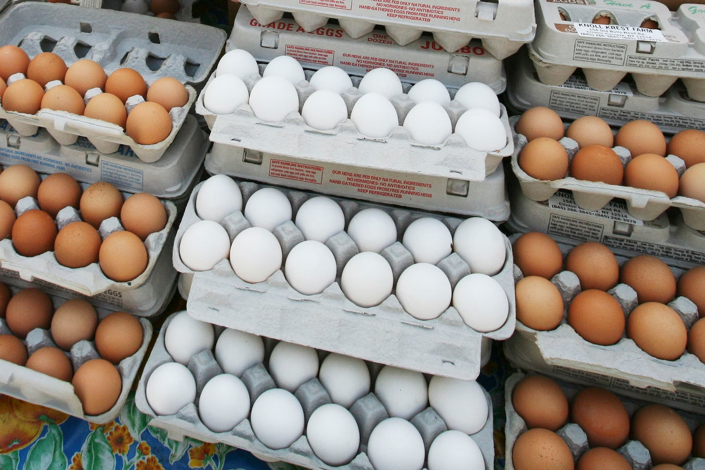 Alabama Egg Prices Skyrocket: What’s Ca