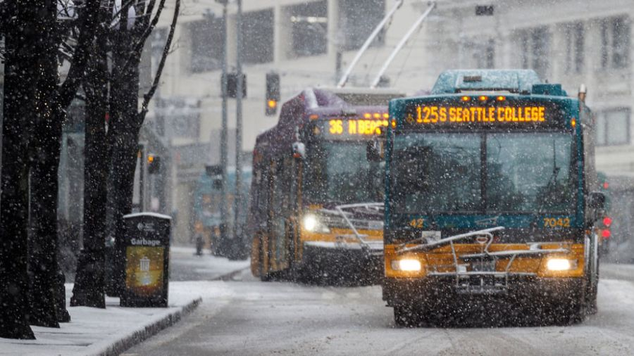 Seattle Braces for Bitter Cold as Washington Experiences Coldest Mid-Winter in Decades