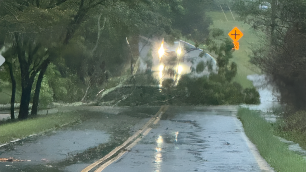 Heavy Rain Causes Chaos: Flooded Streets & Downed Trees in Upstate & North Carolina