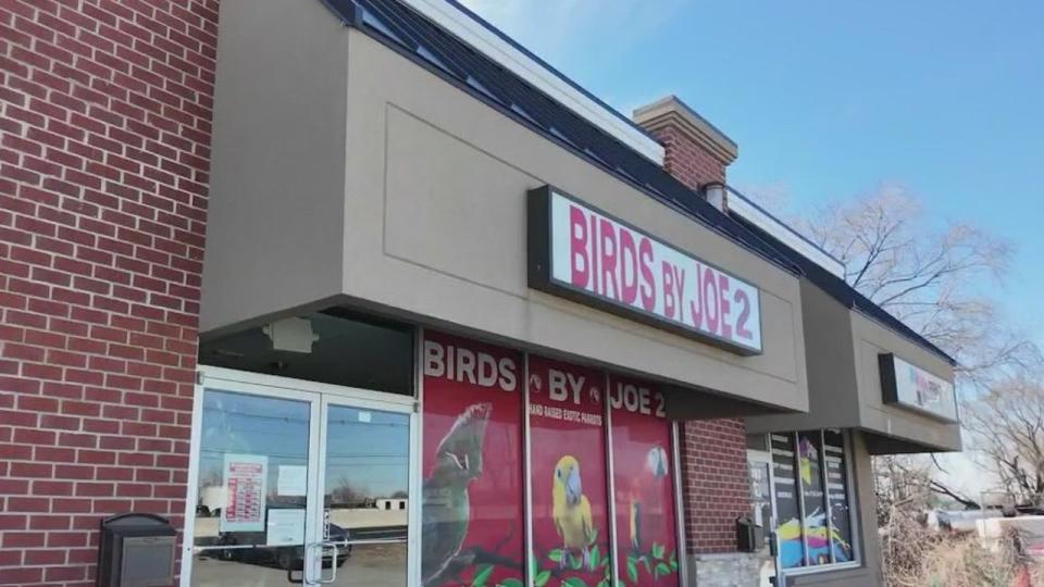 Woman Shot in Face with Crossbow at NJ Pet Store; Suspect at Large