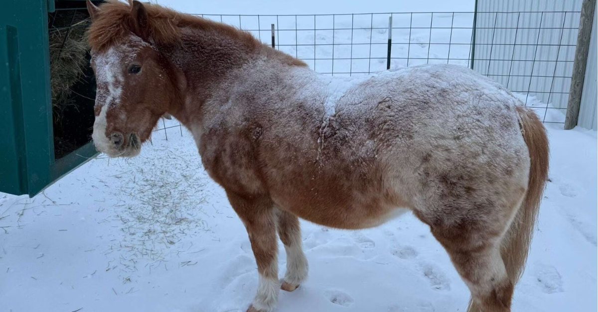 Wyoming Weather Alert: Heavy Snow and Freezing Temps Hit the State!