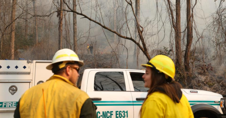US Forest Service Layoffs Spark Fears Over Helene Recovery in Western NC