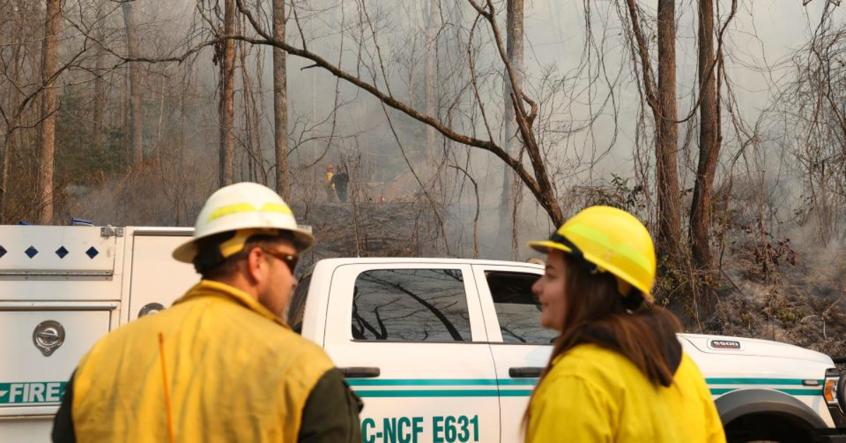 US Forest Service Layoffs Spark Fears Over Helene Recovery in Western NC!