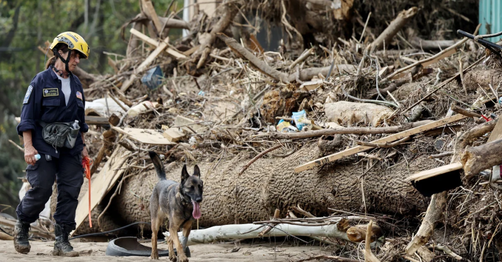 US Forest Service Layoffs Spark Fears Over Helene Recovery in Western NC