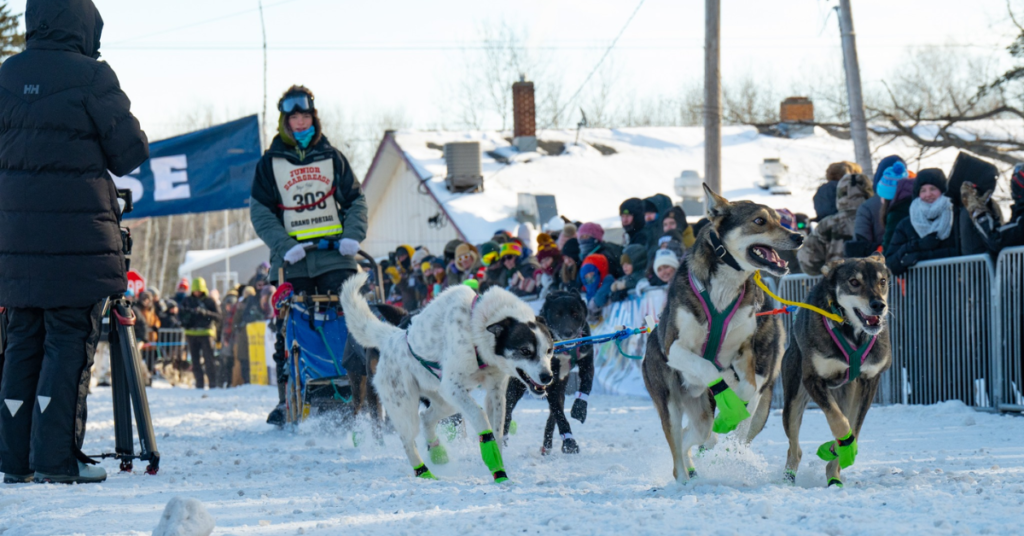 Sled Dog Racing in North Central Wisconsin: Tradition, Training & Upcoming Races