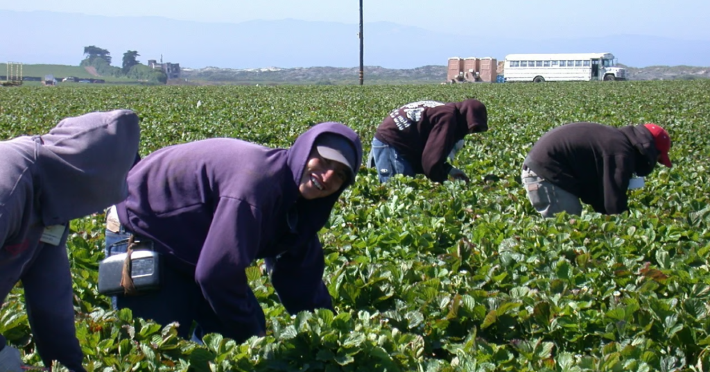 New Bill Moves Forward to Provide Onsite Housing for Farmworkers