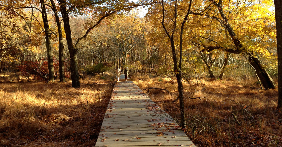 New Jersey’s Best Towns for Outdoor Activities