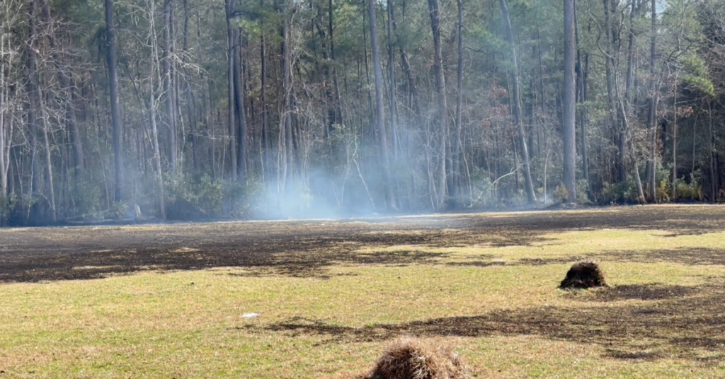 Breaking News: Grass Fire on Old Pond Rd, Investigation Underway on Johns Island