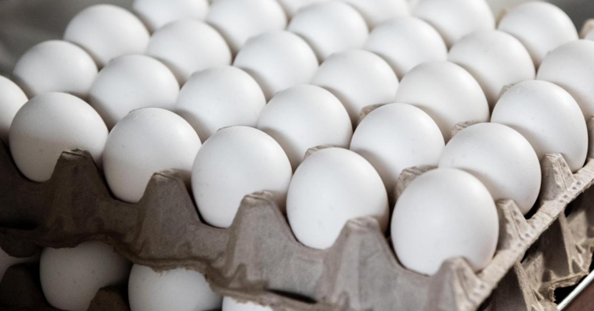 Egg Prices Set to Skyrocket 40%—Will Georgia See Relief Soon?