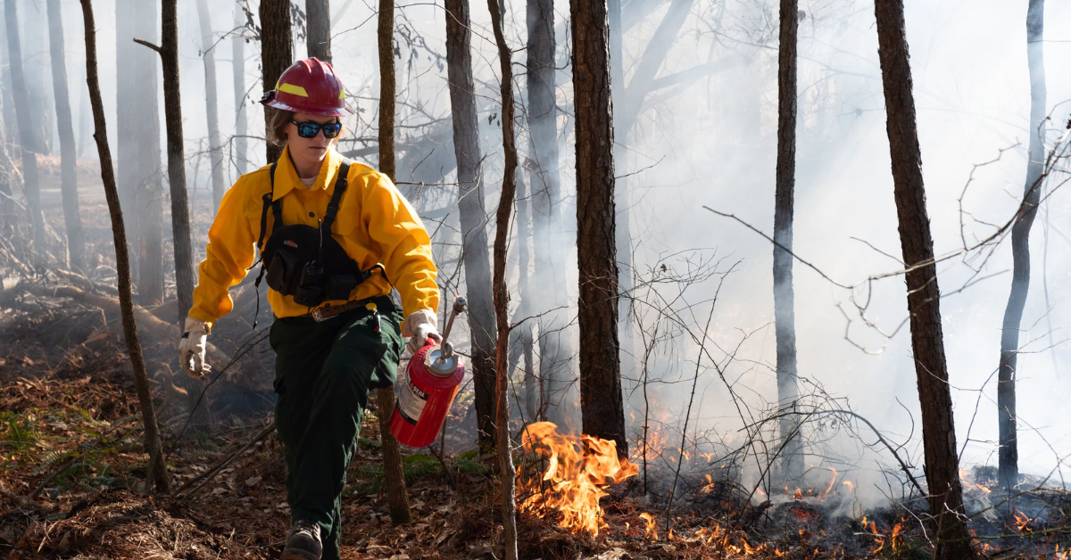 Fire Danger Reaches Critical Levels in Georgia as Dry Weather Persists Across the State