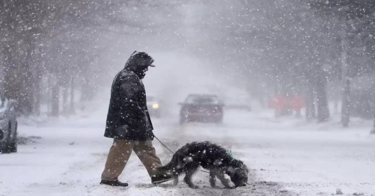 Winter Storm Alert: Up to 8 Inches of Snow from Virginia to New Jersey