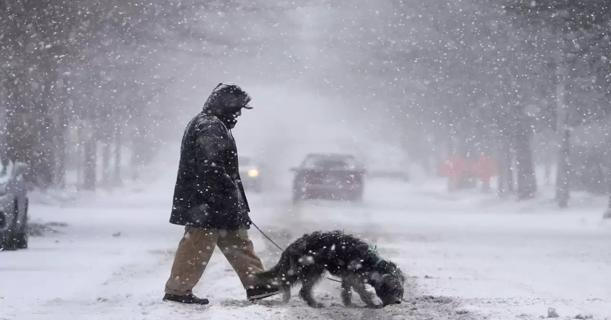 Winter Storm Alert: Up to 8 Inches of Snow from Virginia to New Jersey!