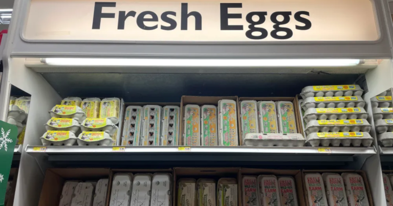 Montana Grocery Stores Adjust Prices as Egg Costs Increase