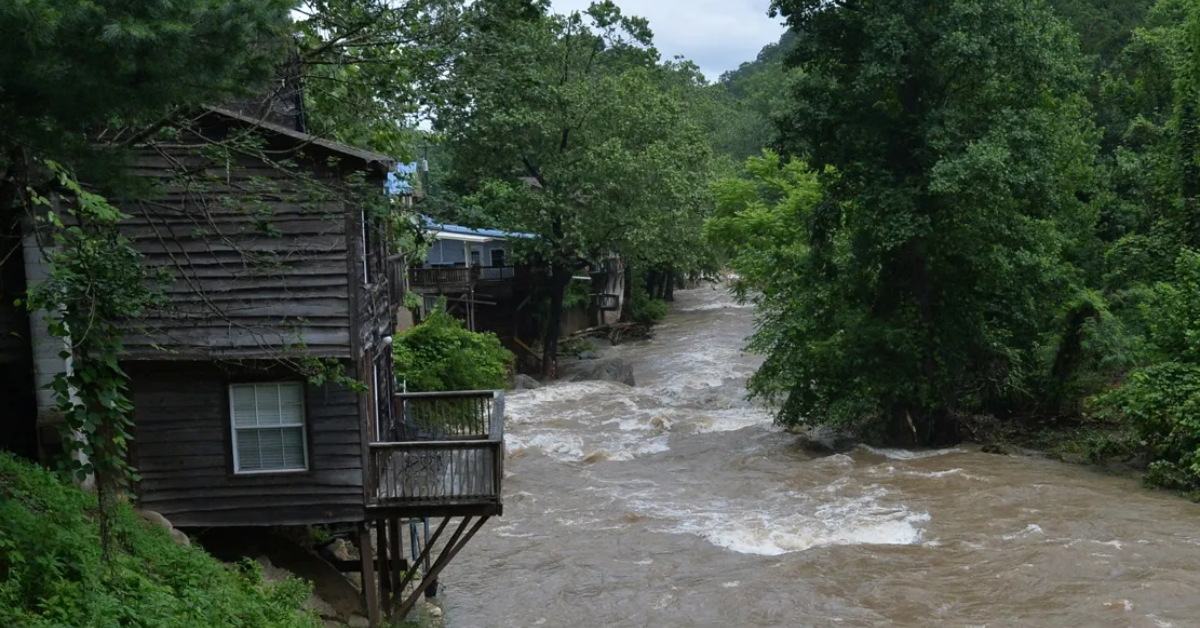 Heavy Rain Causes Chaos: Flooded Streets & Downed Trees in Upstate & North Carolina!