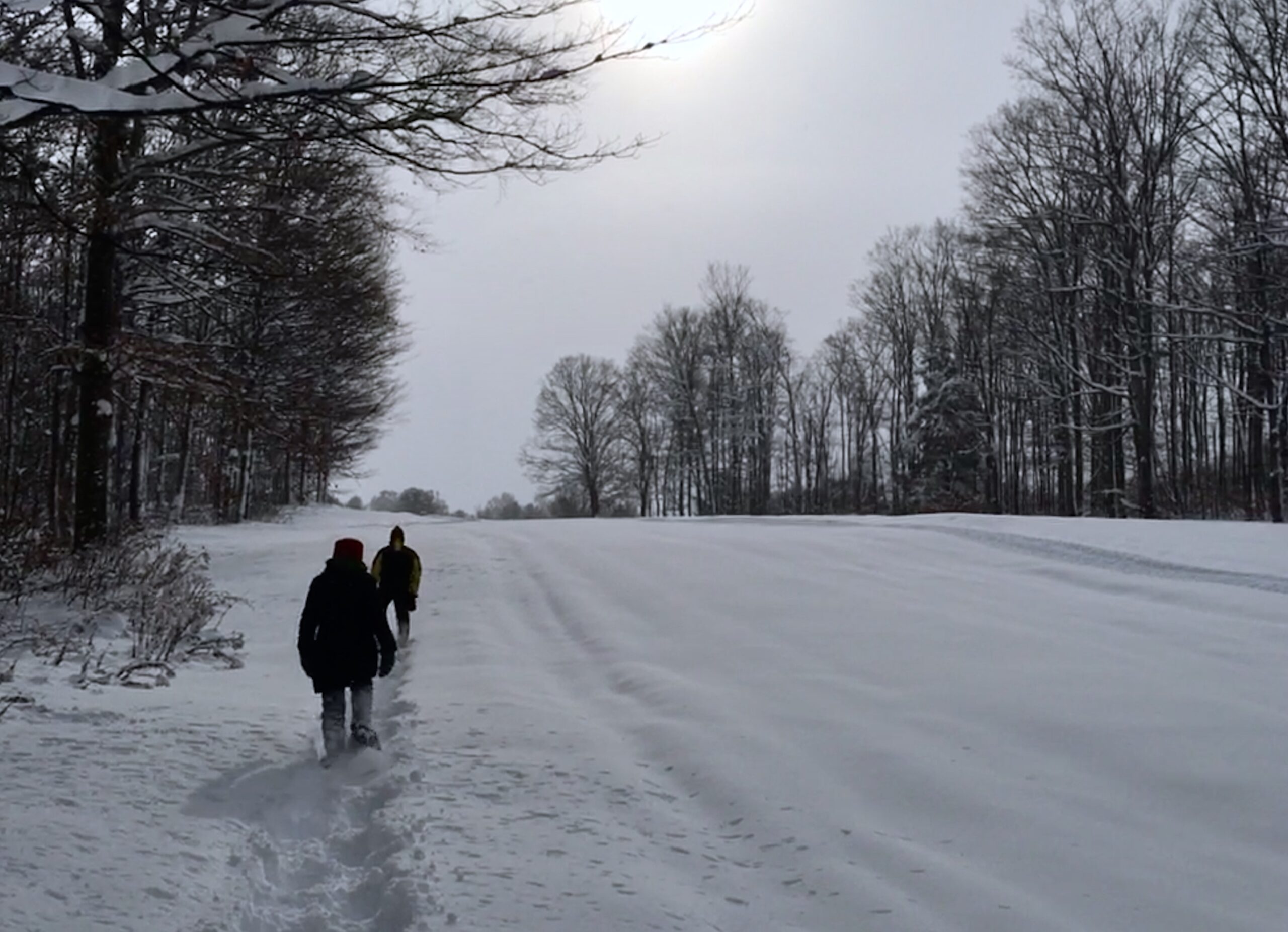 Michigan Faces More Snow While Spring Sunshine Arrives—Find Out What to Expect!