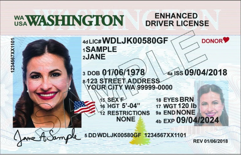 Washington Driving Laws You Won’t Believe Are Real