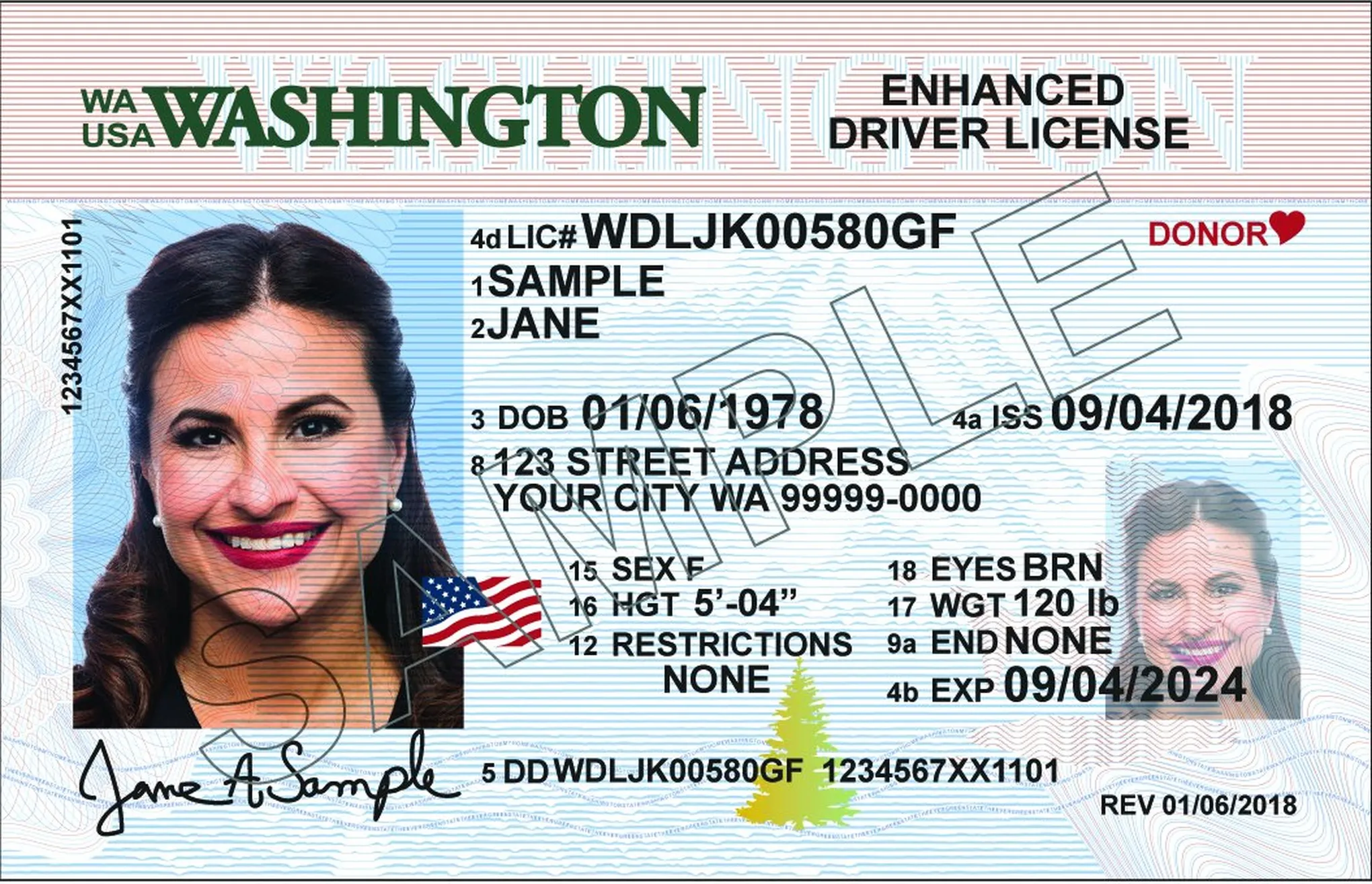 Washington Driving Laws You Won’t Believe Are Real