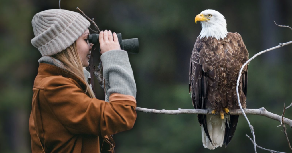 The Ultimate Guide to Bald Eagle Watching in Colorado’s Top Wildlife Location