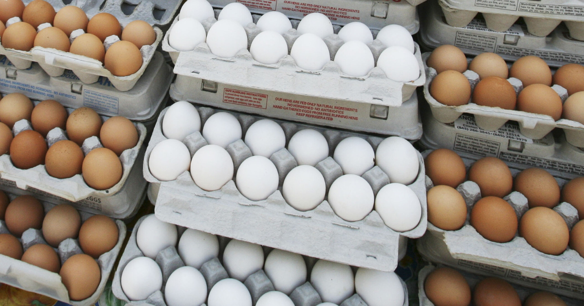 Trump Administration Launches $1 Billion Plan to Lower Egg Prices Amid Inflation Surge