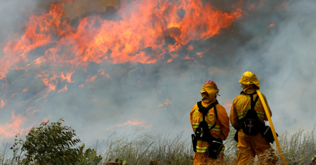 Shocking News: Woman Arrested for Starting Devastating Wildfire Near Myrtle Beach!