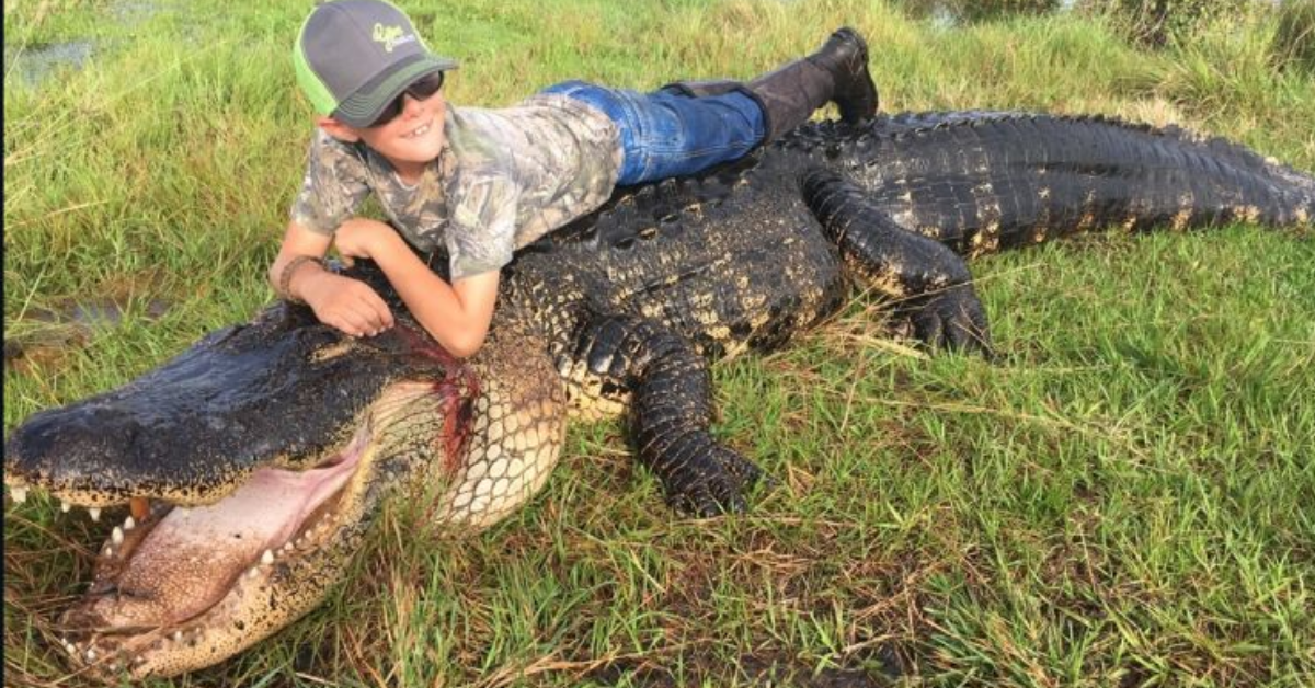 Monster Gators: The 5 Largest Alligators Found in Florida Waters