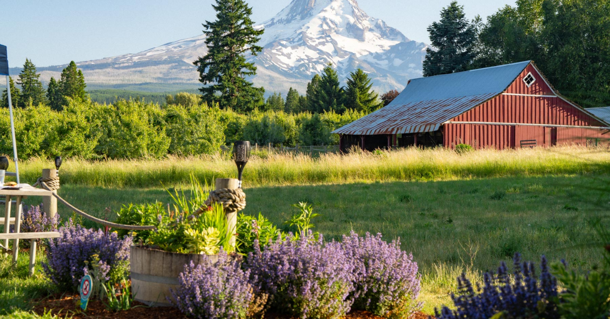 11 Words That Prove You’ve Lived in Oregon Too Long—Can You Say The?