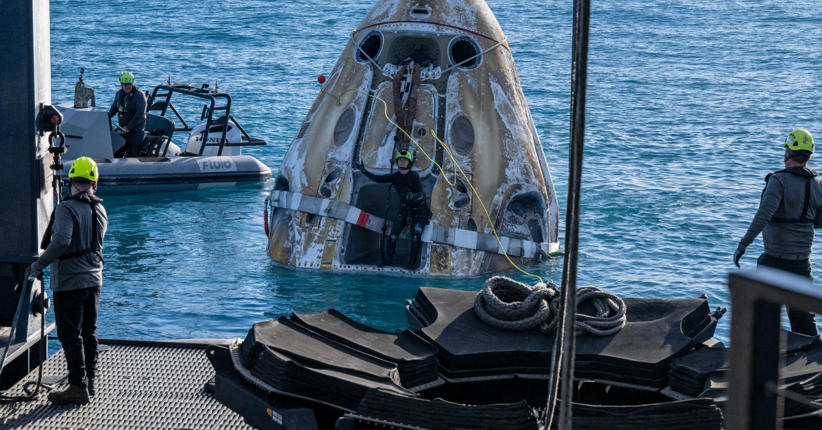 Mother Nature’s Welcome! Dolphins Surprise NASA Astronauts After Ocean Landing