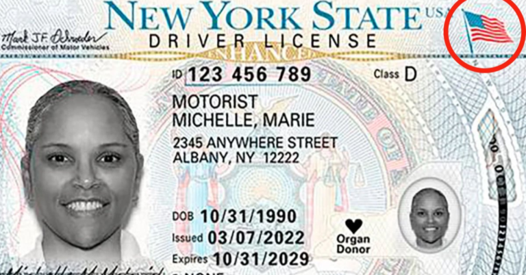 Real ID Deadline: Is Your Enhanced ID Ready for Travel?