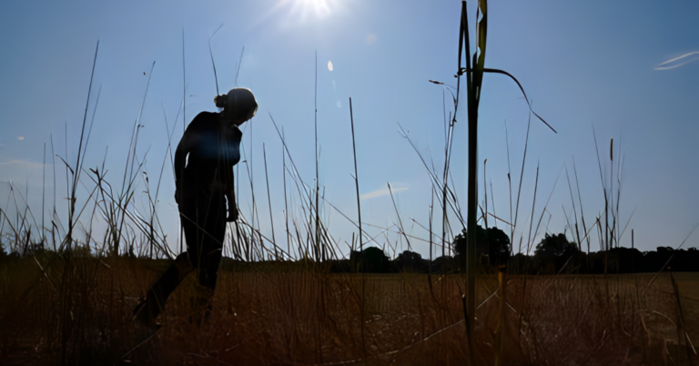 Trump’s Economic Blow to Rural America: Farmers Beg for New Government Bailout