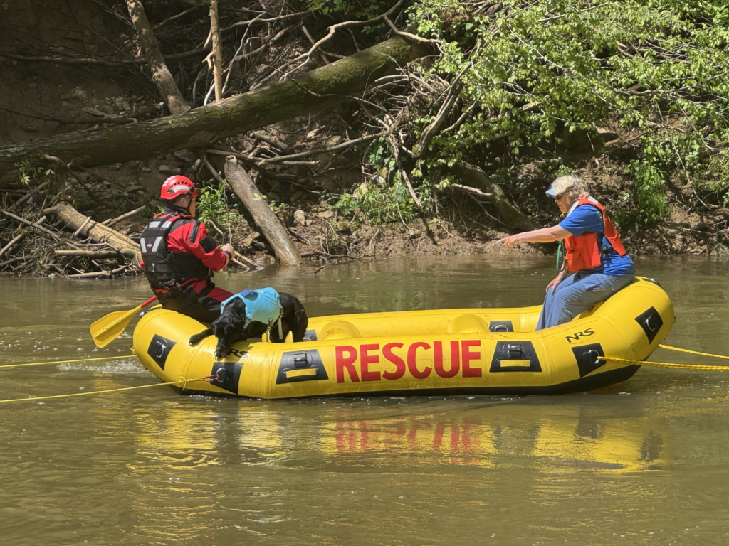 Breaking News: Missing Boy’s Body Discovered in Clarksville After Intensive Search