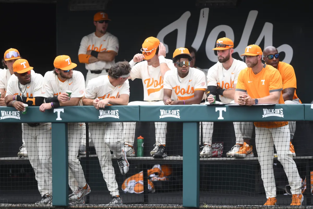 Shocking Moment Mom Kicked Out of College Baseball Game for ‘Inappropriate’ Actions
