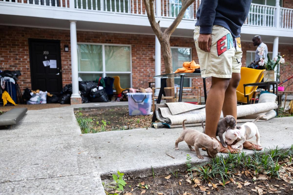 Pennsylvania Introduces Life-Saving Bill to Prevent Evictions in Extreme Weather