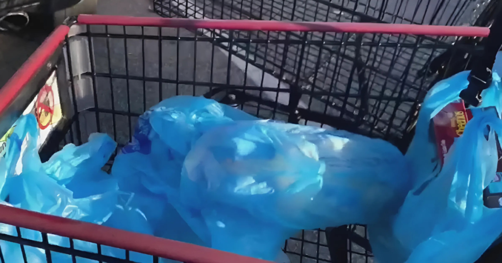 Pennsylvania Takes Bold Step Toward Plastic-Free Future with New Bag Ban Proposal!