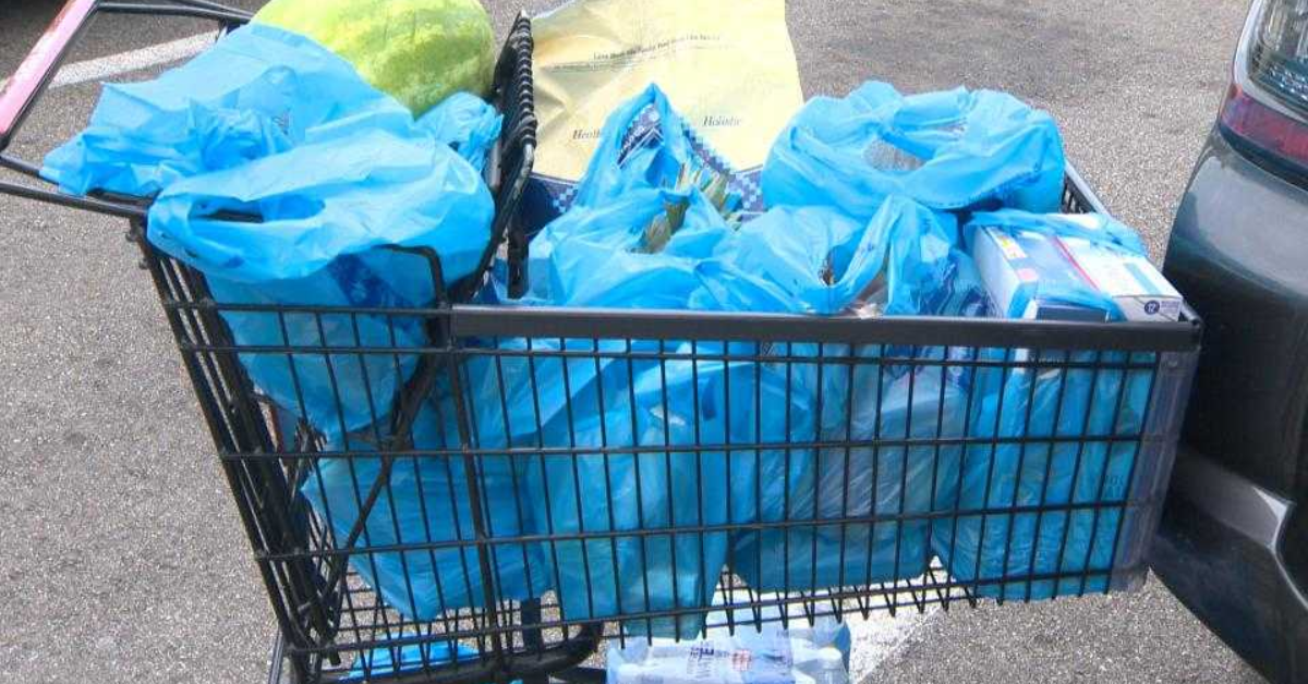 Pennsylvania Takes Bold Step Toward Plastic-Free Future with New Bag Ban Proposal!