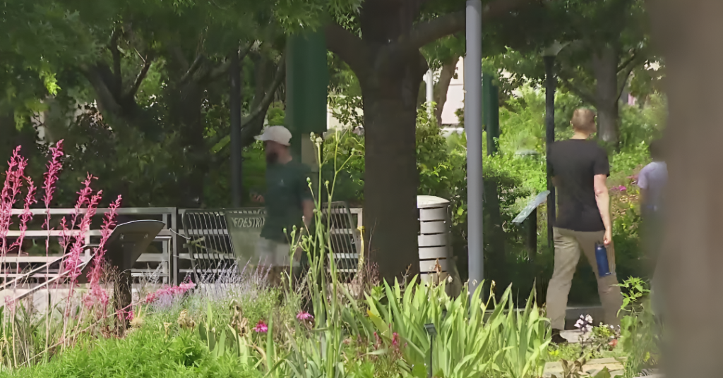 Urgent Alert: Woman Assaulted at Myriad Gardens, Police Searching for Suspect