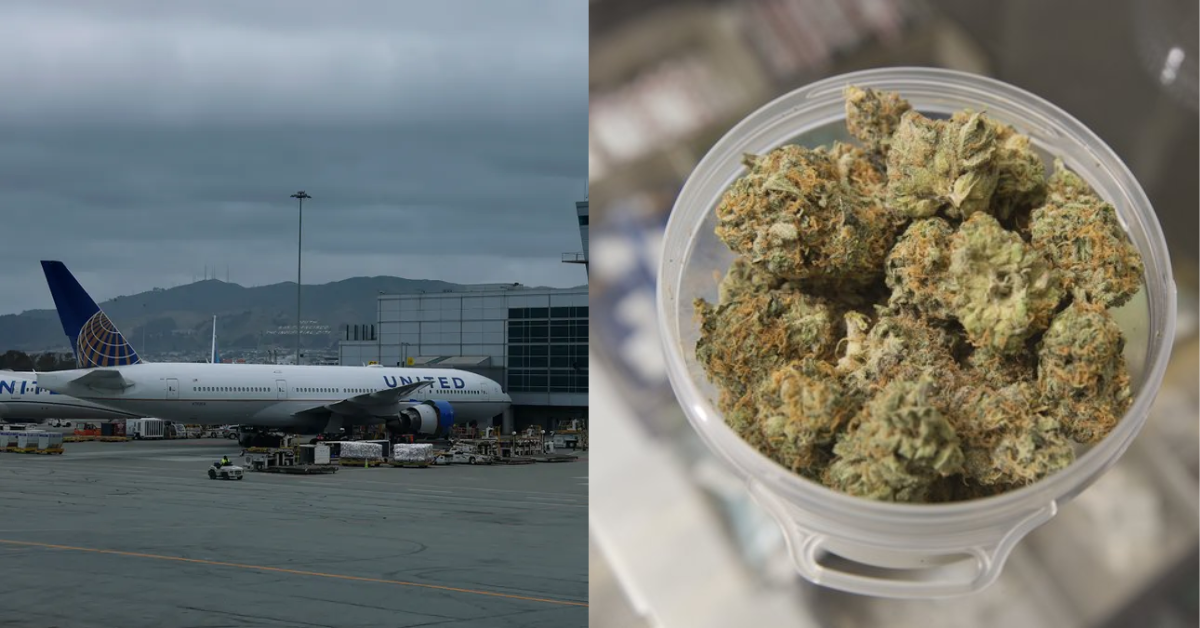 Shocking Arrest at San Francisco Airport: Woman Caught with 150 Pounds of Cannabis