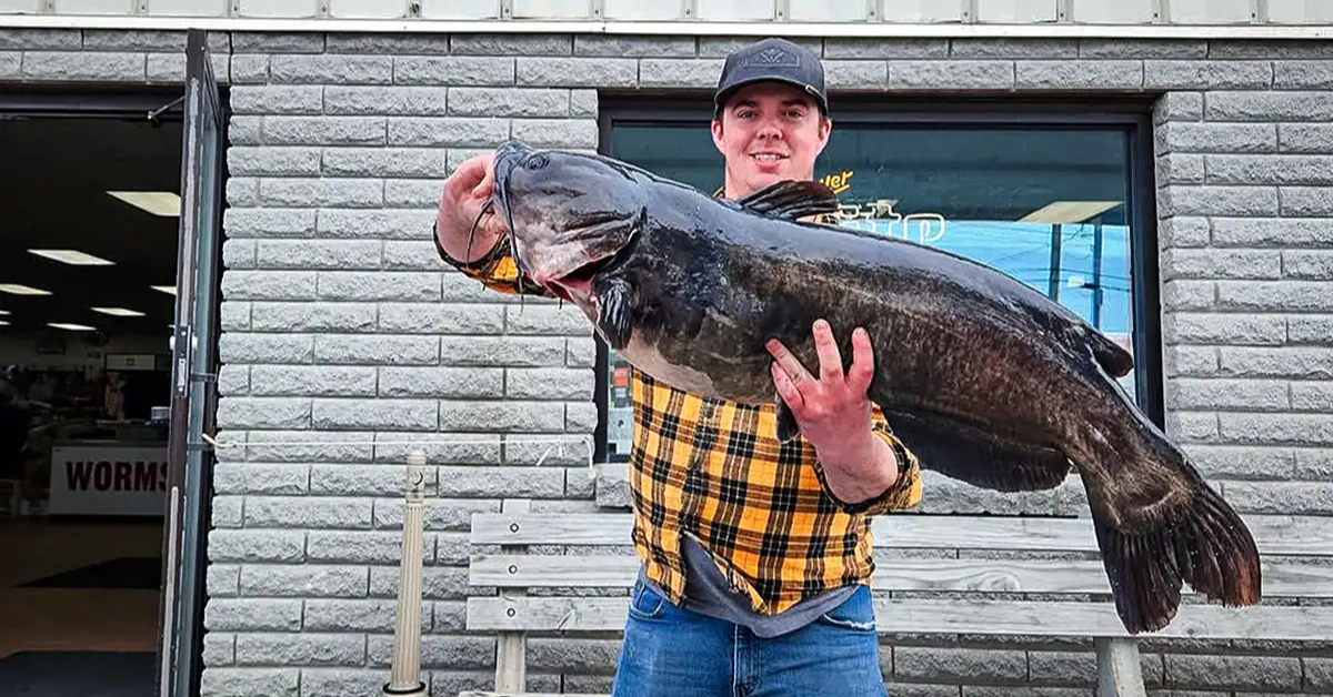 Record-Breaking Catfish Caught in New York Rivers Shocks Anglers!