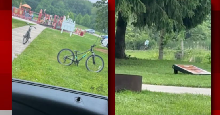 Stow Police Search for Child Allegedly Involved in Goose and Gosling Incident