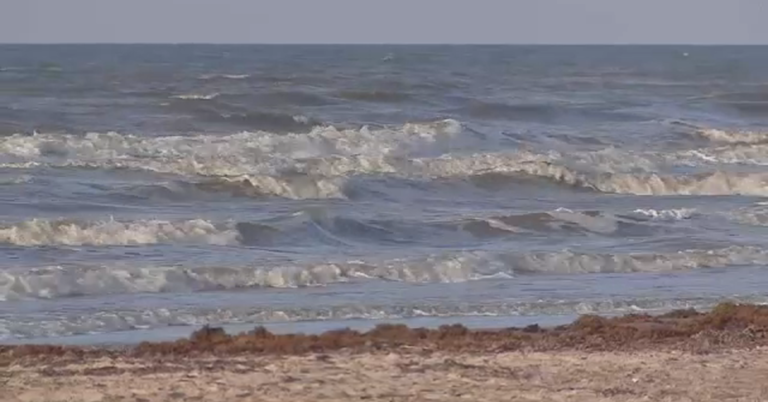 Tragedy Strikes at Galveston Seawall: One Dead, One Rescued in Drowning Incident!